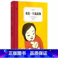 我是一只流浪狗 [正版]奇想国童书精装绘本3-8岁我是一只流浪狗睡前故事幼儿园中班大班读物亲子阅读