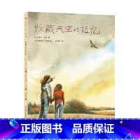 《收藏天空的记忆》 [正版]儿童文学书籍东方娃娃《收藏天空的记忆》