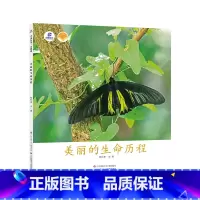 《美丽的生命历程》 [正版]东方娃娃科普绘本《美丽的生命历程》幼儿园中班大班读物儿童阅读3-8岁亲子阅读科普知识绘本