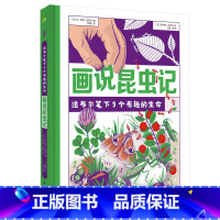 画说昆虫记:法布尔笔下9个有趣的生命 [正版]奇想国童书绘本适合5-9岁《画说昆虫记:法布尔笔下9个有趣的生命》