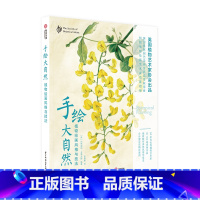[正版]手绘大自然 植物绘画风格与技法 英国植物艺术家协会 单色 彩铅 皮纸 蛋彩 绘画植物爱好者从入门到精通的绘画技