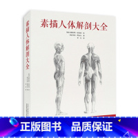 [正版] 素描人体解剖大全 绘画大师安德拉·斯祖约西 亲笔绘制 全方位展示细节 实用绘画指南 艺术书