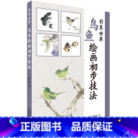 [正版]彩墨世界 鸟鱼绘画初步技法 白浪先生作品辑录 用笔配色技巧 飞鸟游鱼实例分解 基础诀窍实操 水墨绘画书
