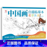 [正版]中国画白描临摹本 花草鱼虫 国画浅印描摹本 工笔画白描初学者入门 精装版 临摹画本 线描画集工笔画底稿零基础画
