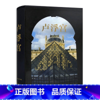 [正版]卢浮宫 LELOUVRE 足不出户游览卢浮宫 艺术品高清摄影 历史 文化 建筑变革 宫殿建筑 绘画 雕塑北京