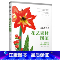[正版]超人气 花艺素材图鉴 新手也能轻松成为花艺达人 插花素材工具书 插花零基础入门 花材搭配技巧 作品展示