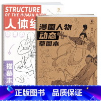 [正版]两册 漫画人物动态草图本+人体结构动态解析 速写人体临摹画册 动漫人物动态素材 手绘本线稿本二次创作 新手学画