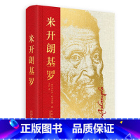 [正版]米开朗基罗 200张高清彩图 作品集 全景呈现西斯廷天顶壁画 深度解读