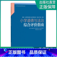 道德与法治 小学通用 [正版]小学道德与法治综合评价指南 小学生综合评价丛书 小学教师教育工作者指导用书 小学综合素质评