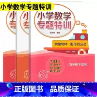 五年级下3册 长方体和正方体+分数的意义+观察物体 图形的运动 小学通用 [正版]小学数学专题特训一二三四五六年级上下册