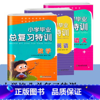 小学毕业总复习特训 语数英全3册 小学通用 [正版]小学毕业总复习特训 语文数学英语科学4册可选 人教版同步 小升初语数