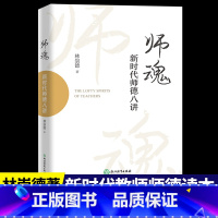 [正版]师魂 新时代师德八讲 林崇德著 中小学老师教师学习培训用书教育工作者读物名师教学艺术与课堂技巧做一名阳光教师浙