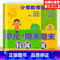 [正版]小学数学单元+期末特训五年级上下2册配人教版数学单元同步测试卷附答案期末复习测试习题 5年级上下册数学课外习题