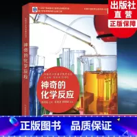 神奇的化学反应 [正版]神奇的化学反应 中国青少年科学教育丛书 科学院科研人员与中学教师联袂打造9-12-15青少年儿童