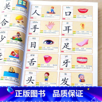 识字3000字(全套4本)推荐 [正版]识字书幼儿认字识字大王3000字幼儿园中班大班学前班宝宝早教启蒙