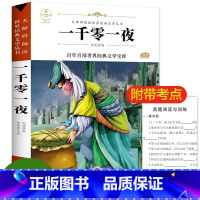 文学经典百部青少版一千零一夜1册 [正版]一千零一夜书籍五年级课外书原著全集小学生青少年版三四