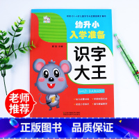 [正版]幼小衔接一日一练幼儿学前识字大王看图识字识物写话组词练习汉字描红学前班升一年级衔接拼音拼读训练幼升小启蒙早教书