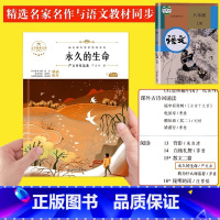 永久的生命 [正版]的生命 初中生课外书八年级上册 青少年课外阅读书籍经典书目适合初二学生读的儿童文学散文作品读物六