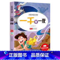 单册 [正版]太阳鸟经典大阅读一千零一夜注音彩绘版书原著小学版一二三年级课外阅读书籍必读世界名著儿童读物6-7-8岁以上