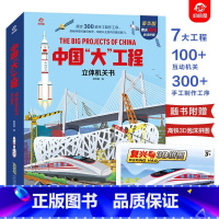 中国"大"工程 [正版]中国大工程立体书儿童3d立体书 3-4-5-6岁科普翻翻书 幼儿早教书籍了不起的建筑百科全书 8