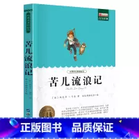 单册 [正版]经典名著轻松读苦儿流浪记小学生课外阅读书籍三四五六年级世界经典文学名著 无障碍阅读
