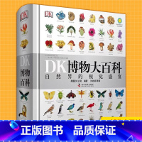 DK博物大百科 [正版] DK博物大百科 DK儿童数学思维手册 认知启蒙绘读物本小学生 益智游戏科普大百科图画书