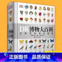 DK博物大百科 [正版] DK博物大百科 DK儿童数学思维手册 认知启蒙绘读物本小学生 益智游戏科普大百科图画书