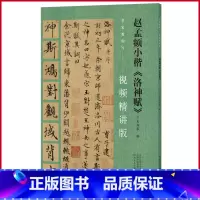 [正版]现货 名家教你写(视频精讲版)赵孟頫小楷《洛神赋》 韦斯琴著 河南美术出版社 9787540161385