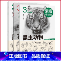 [正版]全3册 素描轻松画:生活小物+昆虫动物+花果植物 从结构到明暗,从入门到精通,自学、教学皆可用!97875