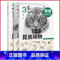 [正版]全3册 素描轻松画:生活小物+昆虫动物+花果植物 从结构到明暗,从入门到精通,自学、教学皆可用!97875