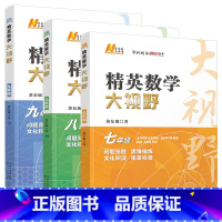 [3本]精英大视野(数学)789年级 初中通用 [正版]2024版精英数学大视野物理化学七八九年级黄东坡数物化解题技巧新