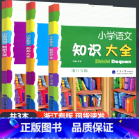 [3本]大开本 语文+数学+英语 浙江专版 小学通用 [正版]小学知识大全语文数学英语 小学生一二三四五六年级12345