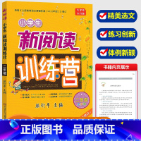 [正版]新版滕衍平主编 小学生新阅读训练营二年级语文上册下册人教版 小学2年级阅读分析理解语句组词造句作文训练辅导训练