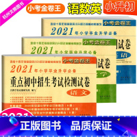 [正版]2021新版 小考金卷王2021年小学毕业升学 重点初中招生考试检测试卷语文数学英语全共3本 小考必刷题小升初