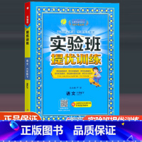 语文 人教版 六年级下 [正版]2023新版实验班提优训练六年级下册语文配套人教版 小学6年级下册同步课时练习作业本小学