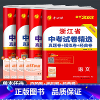 语文 浙江省 [正版]2023新版春雨教育浙江省中考试卷精选语文英语数学科学历史与社会道德与法治考必胜38套初三练习册浙