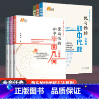 爱与恨的初中平面几何 九年级 [正版]新版 爱与恨的初中平面几何+优与雅的初中代数七八九年级黄东坡培优新方法拔尖特训