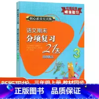 语文期末分项复习21天 三年级上 [正版]2023新版核心素养天天练语文期末分项复习21天三年级上册人教版 小学3年级同