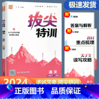 语文 人教版 九年级下 [正版]2024新版通城学典拔尖特训九年级下册语文人教版 初中生初三9年级下册同步练习册课时特训