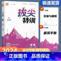 英语 人教版 八年级下 [正版]2024新版通城学典拔尖特训八年级下册英语人教版 初中生初二8年级下册同步练习册课时特训