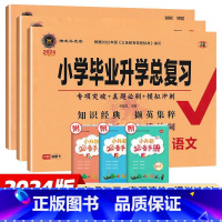 小学毕业升学总复习[3本]语数英 小学升初中 [正版]2024新版神龙牛皮卷真卷小学毕业升学总复习语文数学英语人教版试卷