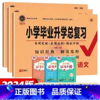 小学毕业升学总复习[3本]语数英 小学升初中 [正版]2024新版神龙牛皮卷真卷小学毕业升学总复习语文数学英语人教版试卷