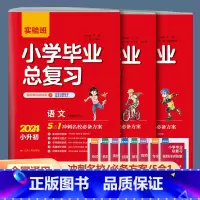 [3本]语文+英语人教版+数学通用版 小学升初中 [正版]2024版实验班小学毕业总复习语文数学英语全套人教版小升初毕业