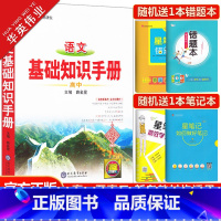 高中语文基础知识手册 高中通用 [正版]2024高中语文基础知识手册数学英语物理化学生物政治历史地理任选薛金星文言文议论