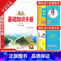 高中语文基础知识手册 高中通用 [正版]2024高中语文基础知识手册数学英语物理化学生物政治历史地理任选薛金星文言文议论