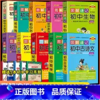 十本套装 初中通用 [正版]2024初中英语同步词汇图解速记人教版7-9年级背单词手册口袋书随身记小本pass绿卡图书七
