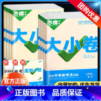 7本]语数英物化政史(人教版) 九年级 [正版]2024版万唯大小卷九年级上册下册语文数学英语政治历史地理物理化学生物人
