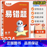 数学易错题 小学升初中 [正版]2024版小升初数学易错题三四五六年级全国通用版应用题必刷题计算题练习题专项训练小初衔接