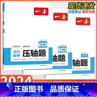 数学压轴题/人教版[中考] 初中通用 [正版]2024新版初中数学压轴题七八九年级上下册中考专题训练解题技巧思维训练拓展