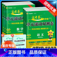 一轮复习单元滚动双测卷 全套9本 [正版]2024金考卷一轮复习单元滚动双测卷高中语文数学英语物理化学生物地理政治历史高